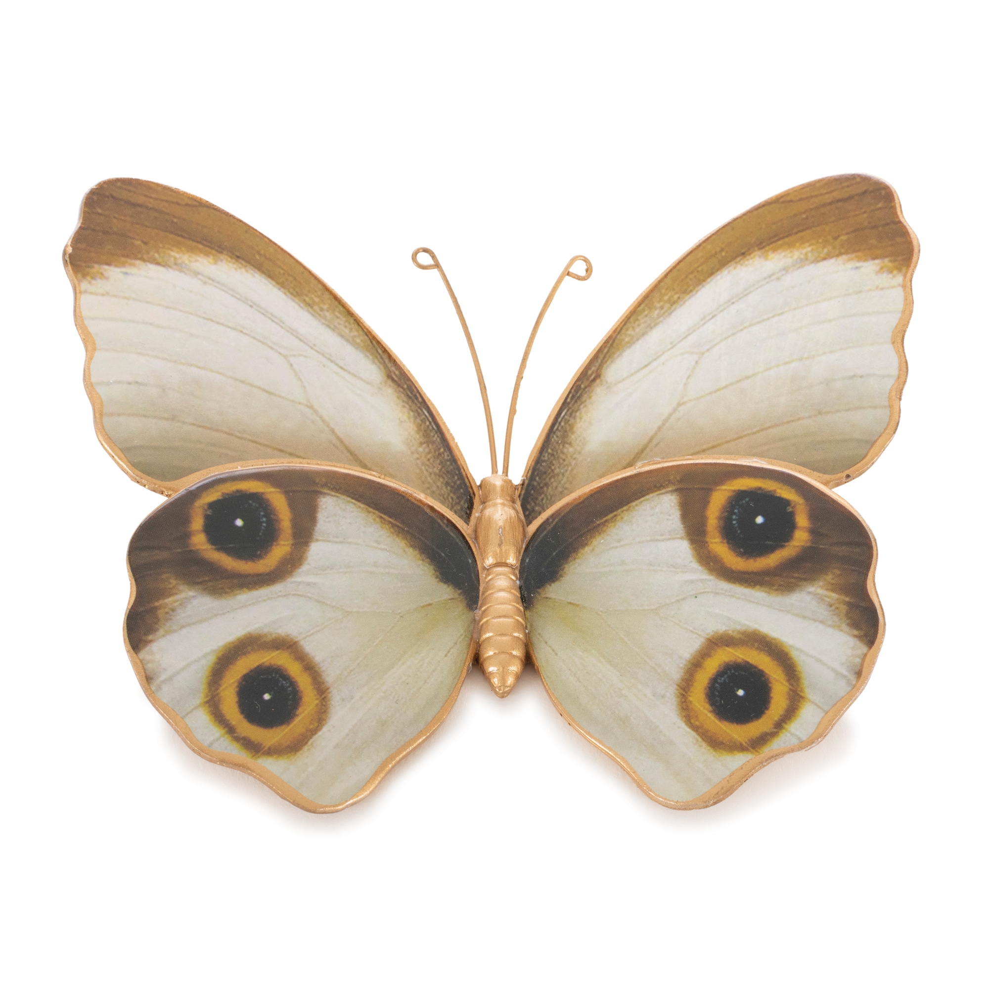 Amber Butterfly & Moth Shelf Sitter Set